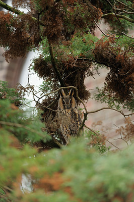 BUITEN BEELD Foto: 77213