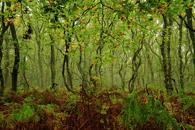 BUITEN BEELD Foto: 77274