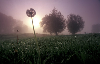 BUITEN BEELD Foto: 77308