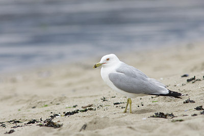BUITEN BEELD Foto: 77332