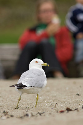 BUITEN BEELD Foto: 77339