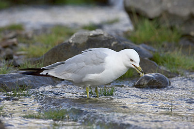 BUITEN BEELD Foto: 77352