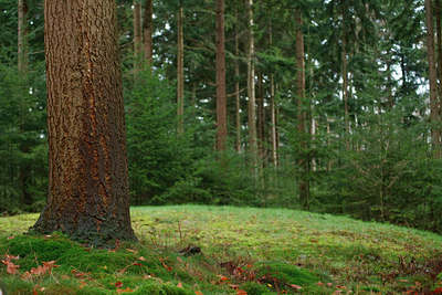 BUITEN BEELD Foto: 77389