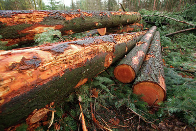 BUITEN BEELD Foto: 77394