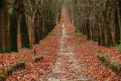 BUITEN BEELD Foto: 77398