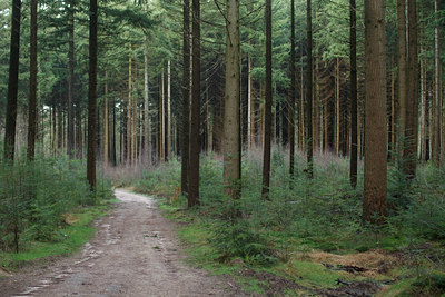 BUITEN BEELD Foto: 77401