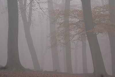 BUITEN BEELD Foto: 77425