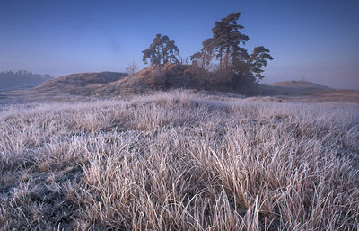 BUITEN BEELD Foto: 77437