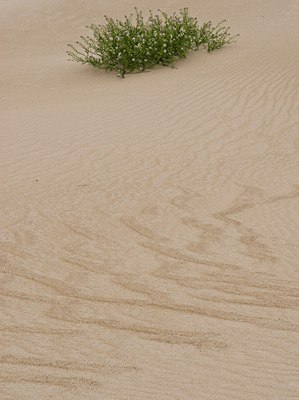 BUITEN BEELD Foto: 77442