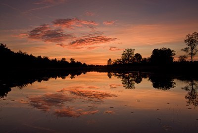 BUITEN BEELD Foto: 77447