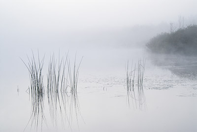 BUITEN BEELD Foto: 77448