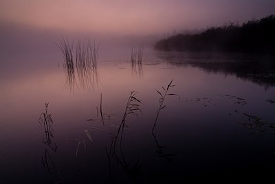 BUITEN BEELD Foto: 77459