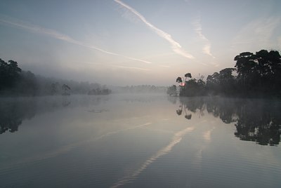 BUITEN BEELD Foto: 77461