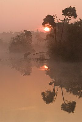 BUITEN BEELD Foto: 77463