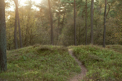 BUITEN BEELD Foto: 77478