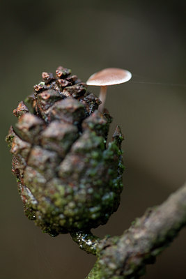 BUITEN BEELD Foto: 77488