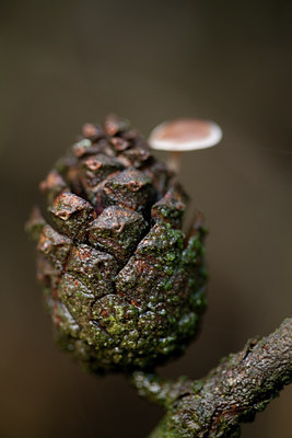 BUITEN BEELD Foto: 77489