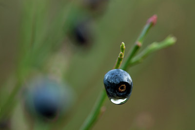 BUITEN BEELD Foto: 77491