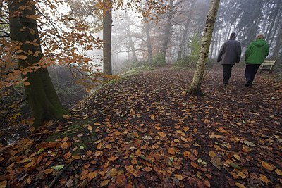 BUITEN BEELD Foto: 77545