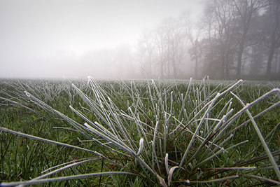 BUITEN BEELD Foto: 77547