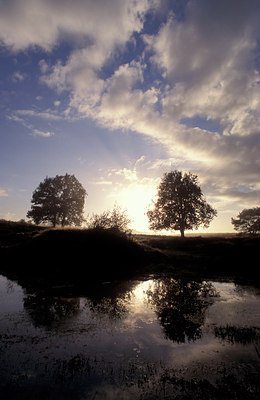 BUITEN BEELD Foto: 77586