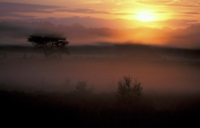 BUITEN BEELD Foto: 77596