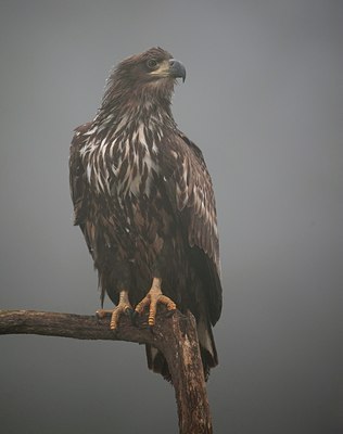 BUITEN BEELD Foto: 77604