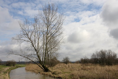 BUITEN BEELD Foto: 77630