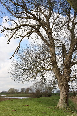 BUITEN BEELD Foto: 77631