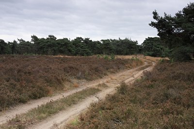 BUITEN BEELD Foto: 77632