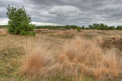 BUITEN BEELD Foto: 77634
