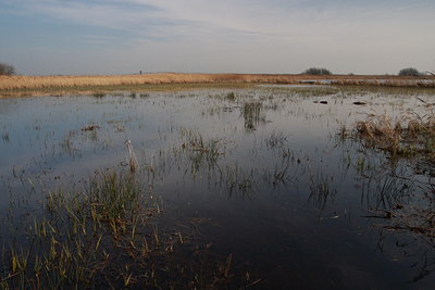 BUITEN BEELD Foto: 77647