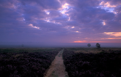 BUITEN BEELD Foto: 77658