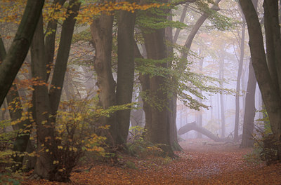 BUITEN BEELD Foto: 77666