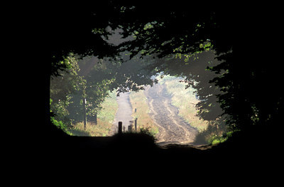 BUITEN BEELD Foto: 77673