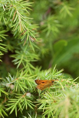 BUITEN BEELD Foto: 77699