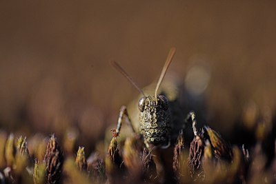 BUITEN BEELD Foto: 77736