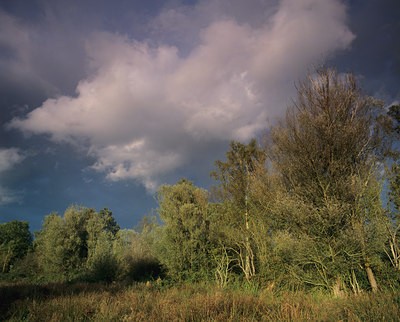 BUITEN BEELD Foto: 77740