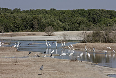 BUITEN BEELD Foto: 77807