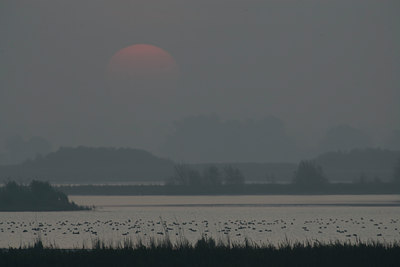 BUITEN BEELD Foto: 77868