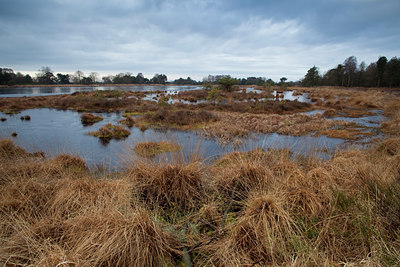 BUITEN BEELD Foto: 77882