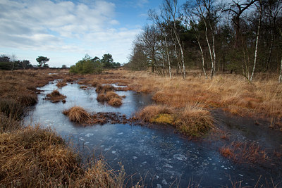 BUITEN BEELD Foto: 77883