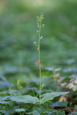 BUITEN BEELD Foto: 77892