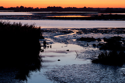 BUITEN BEELD Foto: 77908