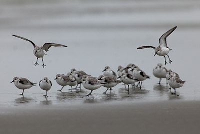 BUITEN BEELD Foto: 77954
