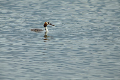 BUITEN BEELD Foto: 77965