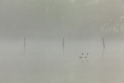 BUITEN BEELD Foto: 77969