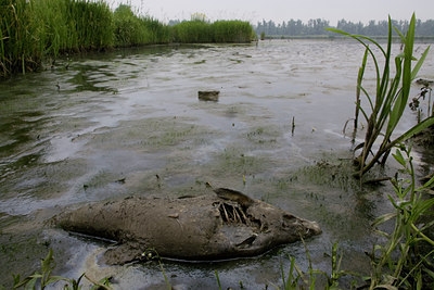 BUITEN BEELD Foto: 78038
