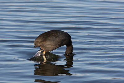 BUITEN BEELD Foto: 78058