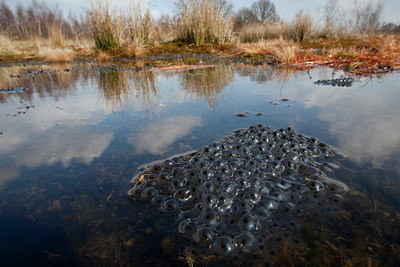 BUITEN BEELD Foto: 78092